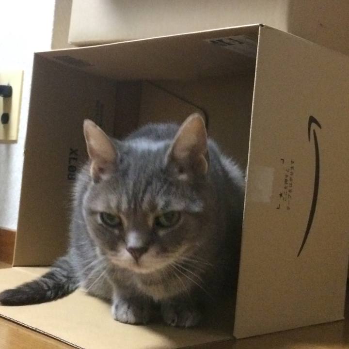 43fd1618 5f97 4d60 9175 b4b187203e68 1512192207616