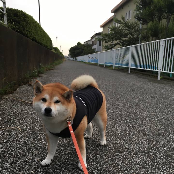 43fd22ce ef3c 4e68 bd04 b1b836f888c7 1566593782570