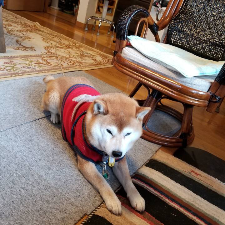 43fd4f26 1567 4911 ab14 108725c9784c 1552606925535