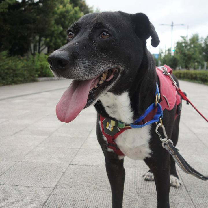 43fd90d9 ad11 41d3 b2bf 831ed844b7d0 1691888592817