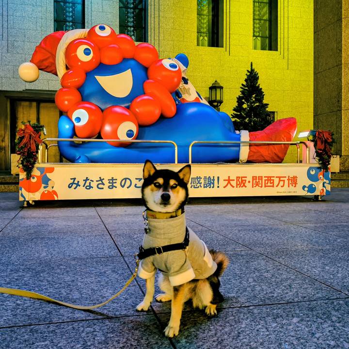 43fd944e faaf 417e 808e f27a95b5a527 1764430023314