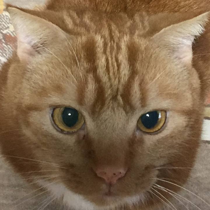 43fdddc6 1e6f 4af8 998f 734a648e91fd 1582338332005