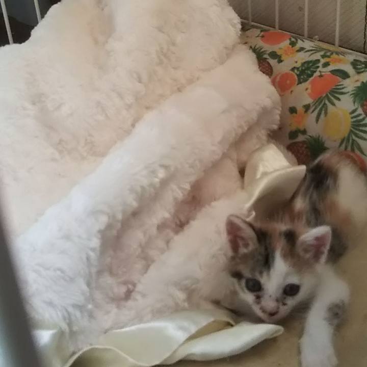 43fe0df8 16d1 4a80 a01f db7ce5e2ea61 1632380264008