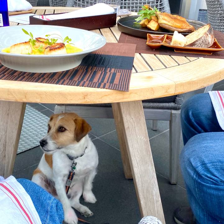 43fe11b4 3dca 4af9 818a bd415b7d9db7 1616766166891