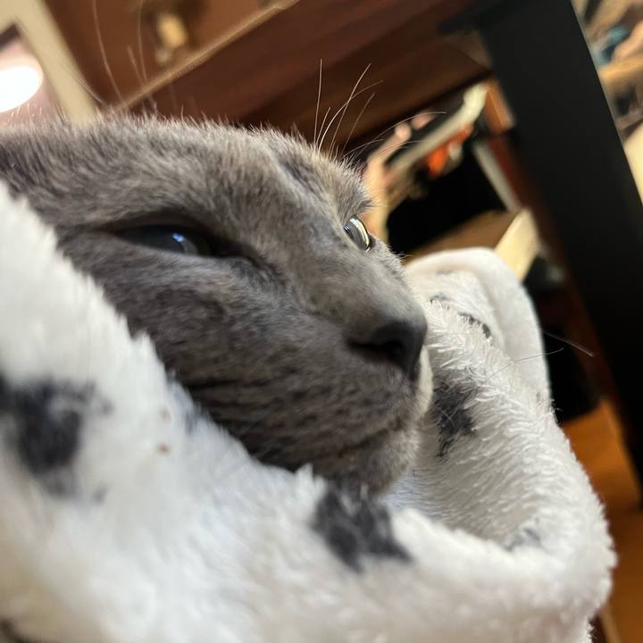 43fe20dd de11 496d baef 6a358c557e6b 1731129925475