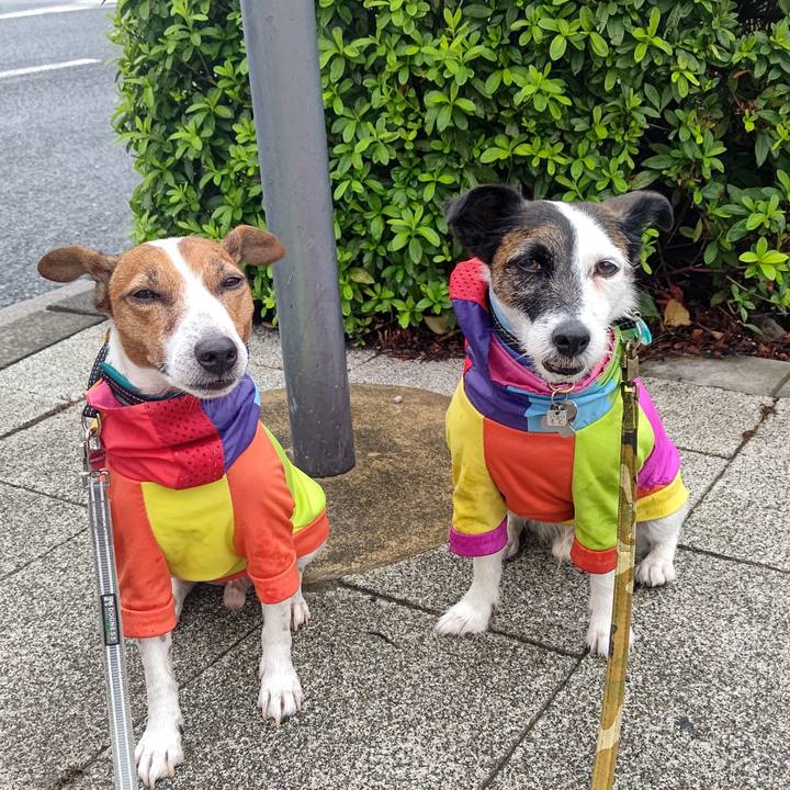 43fe4c26 bbde 4bb4 9144 1a3cb7fa032d 1695429662079