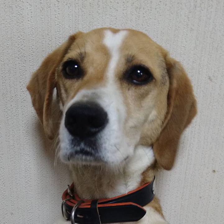 43fe59c1 481c 4f65 9328 aca5e5b9c0a4 1623220828209