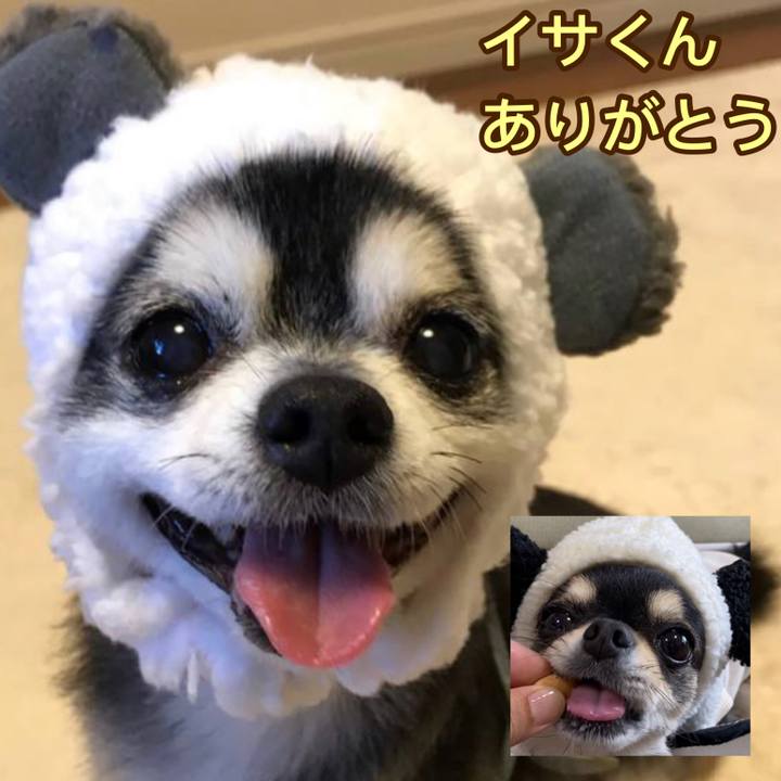 43feae23 3ef8 4354 91e5 bbc901ddc216 1614929328489