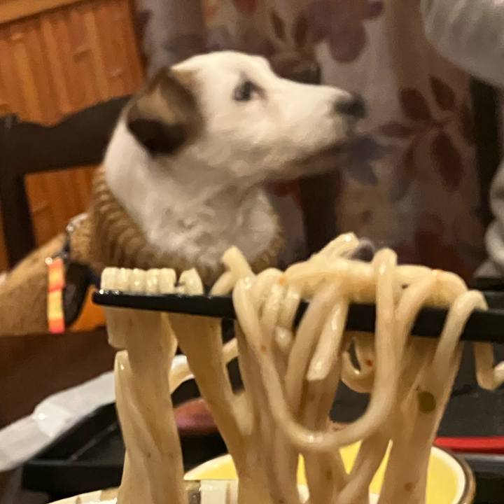 43fec3b1 fdd0 4b0d bbde a611112ce327 1672443166886