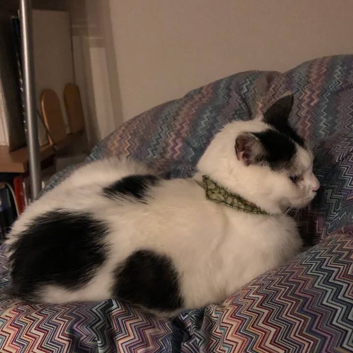 43fed236 9094 48be b244 a8dde7bc8a13 1571234192280