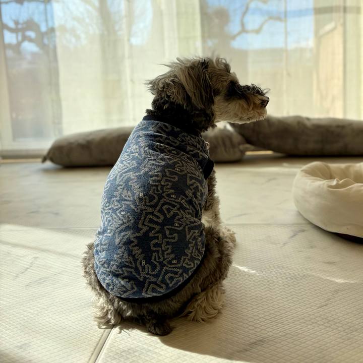 43fed4da 0b3f 4e37 ad26 0faa8f165839 1768294534899