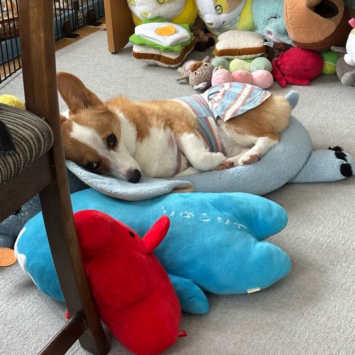 43fef52b 02d1 4ced 9875 2504ba32d021 1757739877233