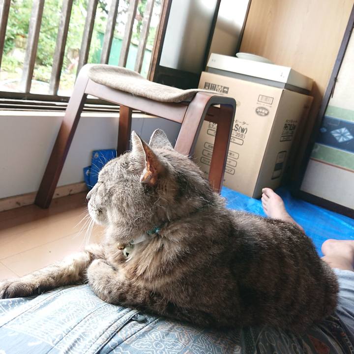 43ff2d59 2b6a 4f53 a59d e8d31d3efa84 1565929398111