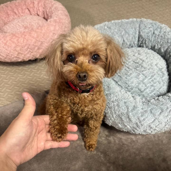 43ff4c8c 498b 4a31 bb81 802392e79cfd 1717671265025