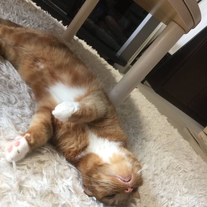 43ff97a2 cd5d 4db2 8905 b82fd66728f8 1592025131982