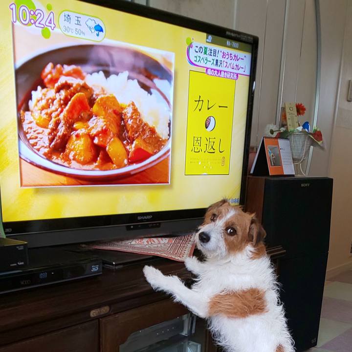 43ffc490 8469 465c 87a6 3e444b2845e3 1595813993799