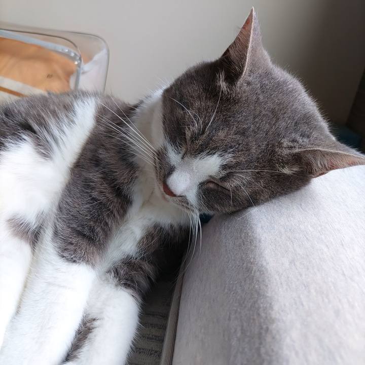 43ffca60 d595 489f a6e2 e4af36968d6f 1717731373368