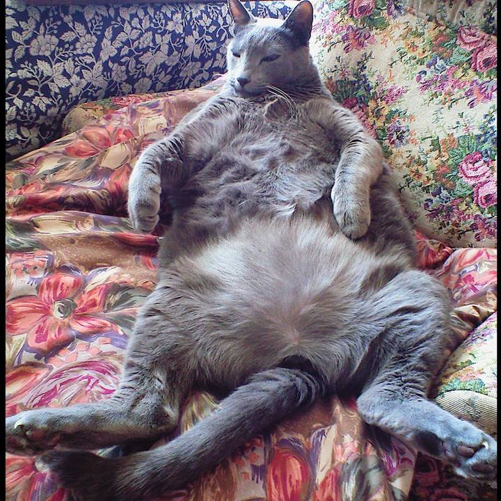 43ffd9bd d623 45c9 97e7 95c459f43251 1531398815331