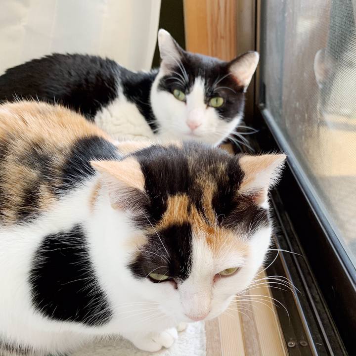 43ffe4fe 0d92 4f30 a218 d196ab924cf4 1552531142476