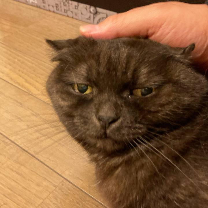 43ffea0c 9369 45d7 b8e4 8bd96fa0ab11 1611552086549