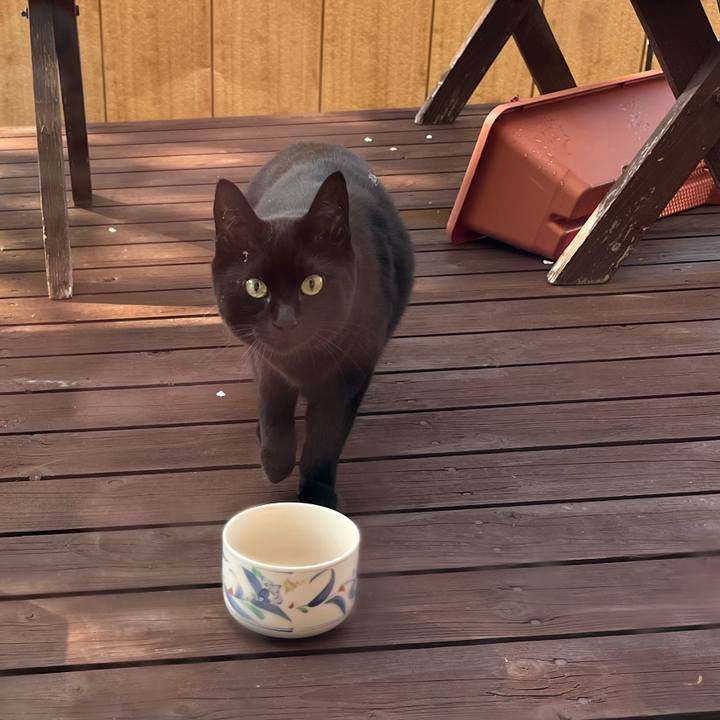 440003c5 5262 413c 8bf8 fc3c63d0f425 1748037211779