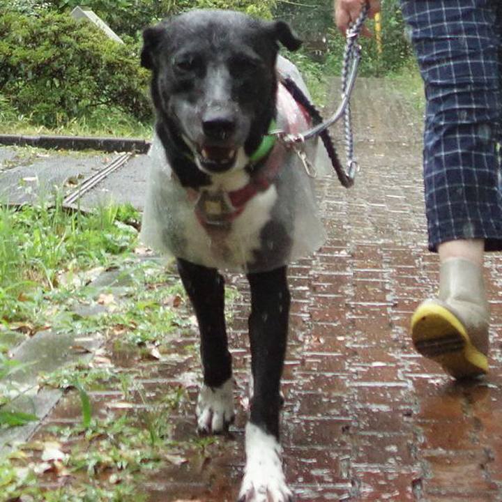 4400521e b97b 4fb5 956b a406b71c5909 1627342803272