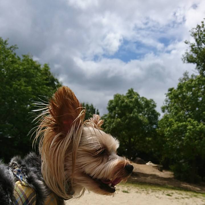 44006b56 5564 4645 b85c 701697f2c681 1534167001237