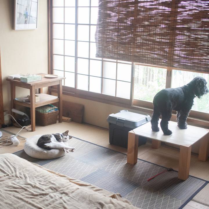 44007144 166b 4226 9b6f 18d261f1dd94 1569984848985