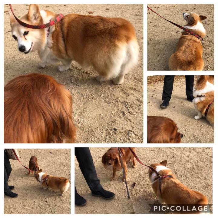 44007e1d 7e05 4128 ad83 7dd45c17e9f0 1574555617064