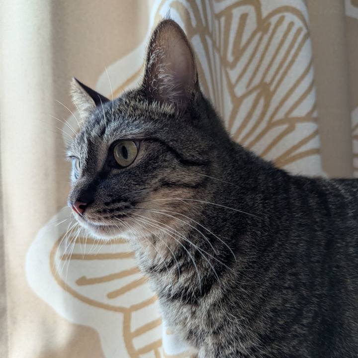 44008e64 60f6 41d4 a255 999cd72a22a5 1750316556339