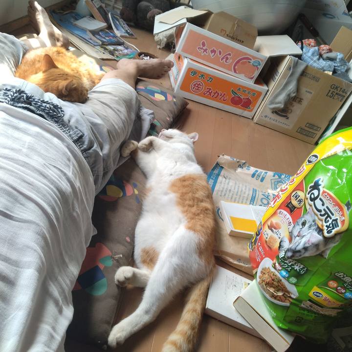 4400dc9a 5761 4515 8ef2 3870086de613 1758012854679