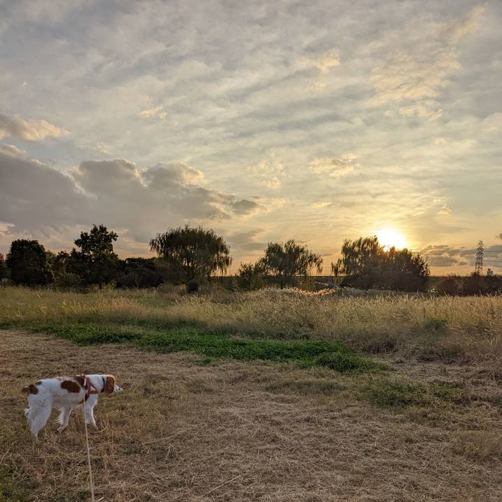 4400ea3f b0ce 4ab1 8e16 626b727ae72c 1635842004150