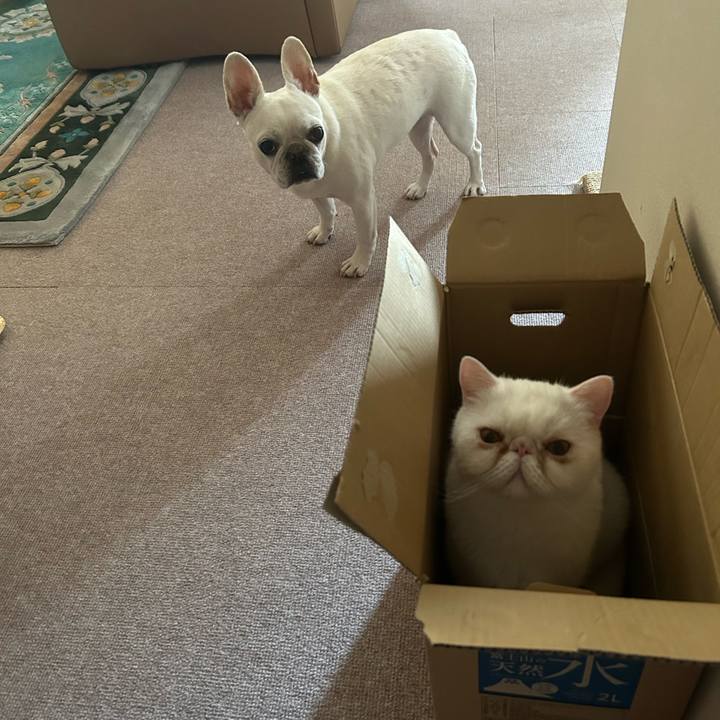 4400ee4e 6dd6 4e7d af32 4b037cc6c552 1689656712851