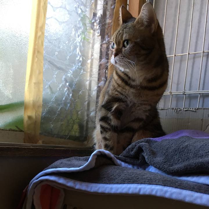 4401351c 28a8 48a8 813c 649e117b24ff 1548135579840