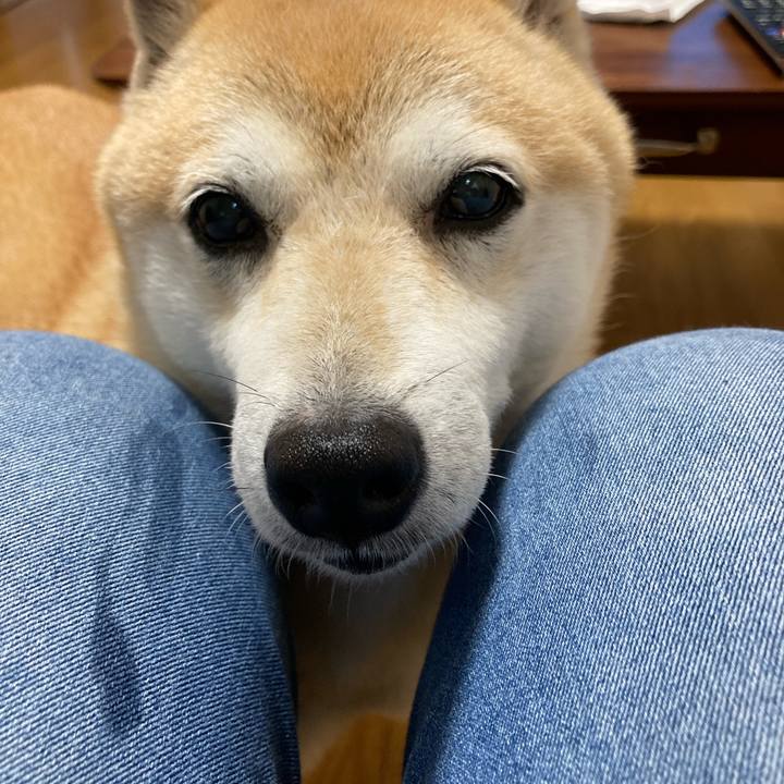 44016a0b 4d59 4d22 a46a 36779ad52beb 1634297651996