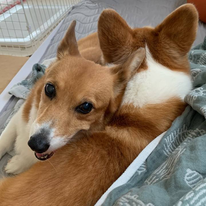 4401882d c844 4d06 82c9 f7c92f658a99 1720303935354