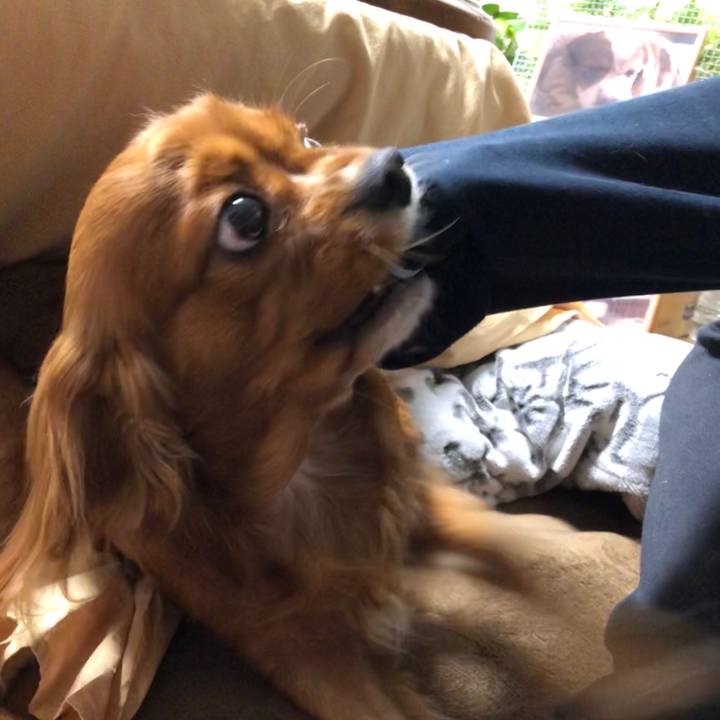 44019b04 a995 4b62 8db9 e236eb001fa5 1575672975461