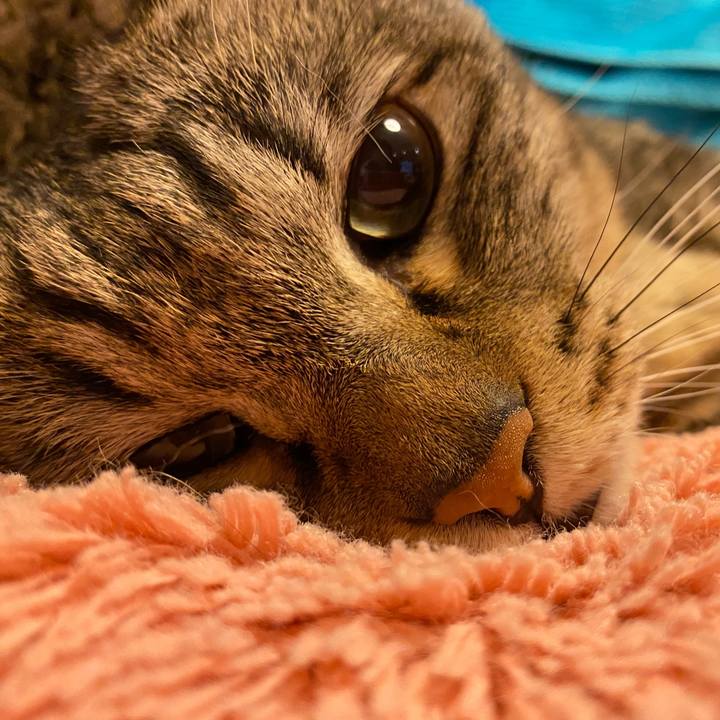 4401b3e4 547b 47b9 9812 9540d2110abc 1664976650626