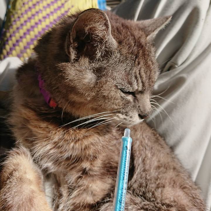 4401b8fb 5ca6 43ba 805a 0eeb189fabd8 1595544427646