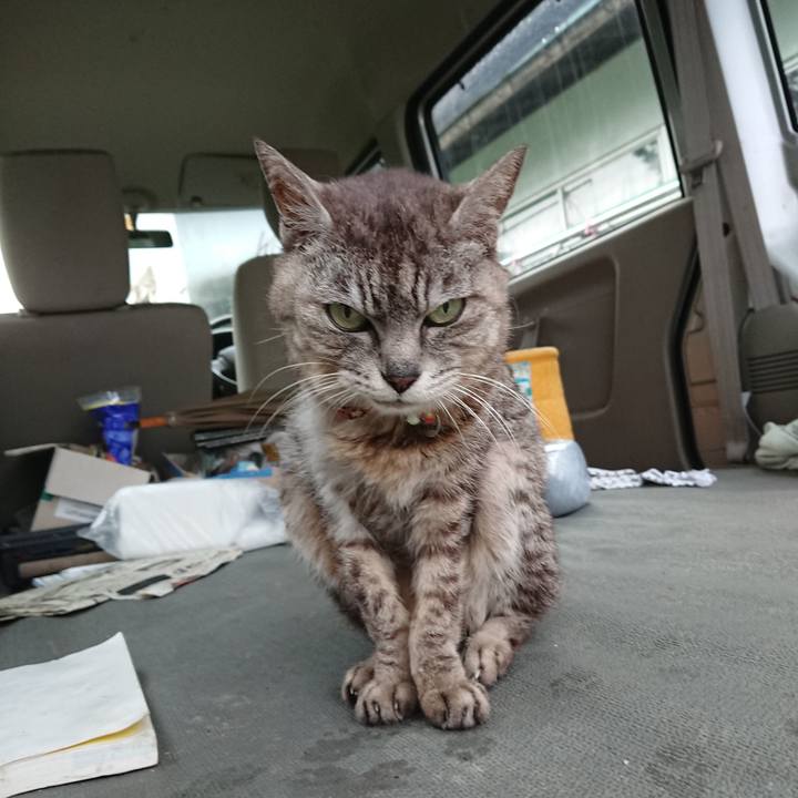 4401d143 1e16 4ad6 ac8b e3a735118629 1596055146963