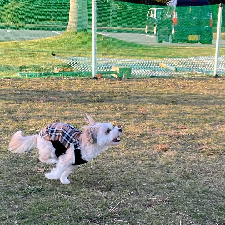 44021588 d5b6 4af6 b630 47fc5b4b2fd9 1764495745908