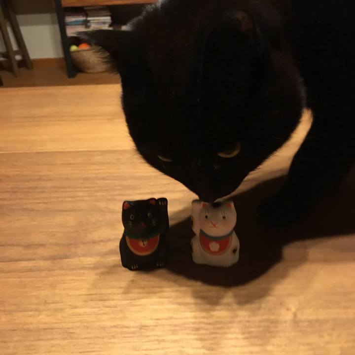 44022316 a637 4cd6 bdcb 24be727873c4 1546440219498