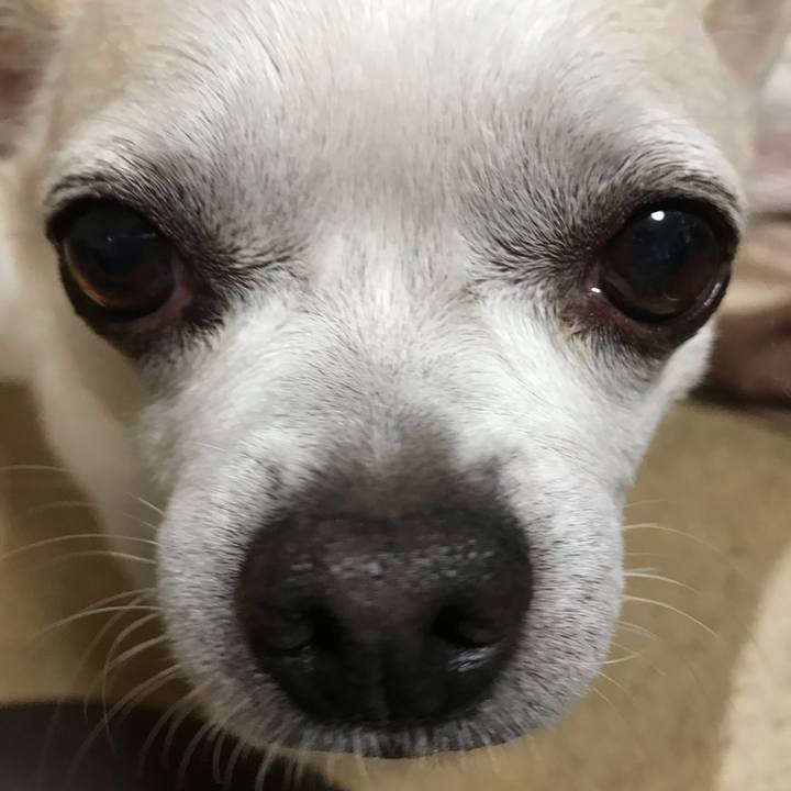 44024dc5 e9f7 45b8 9502 ce4947d30ead 1541326520902