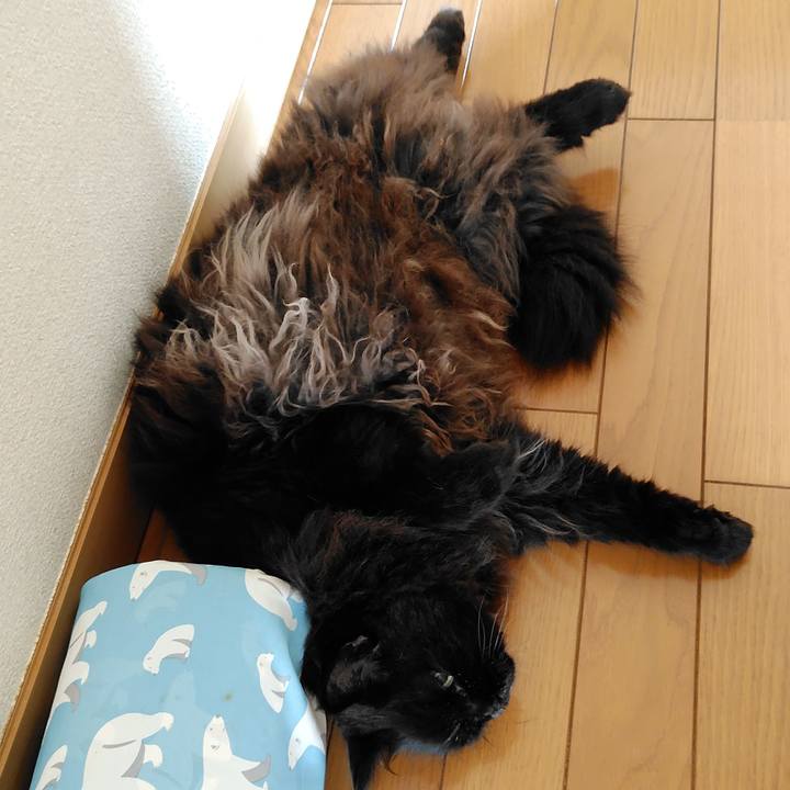 4402aadf 8202 42d9 82e2 a09377f27da2 1722051303723