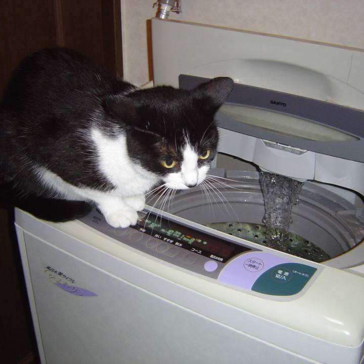 4402d7a7 e3bc 4103 9ad1 9aaa4d31ceb0 1512039352111