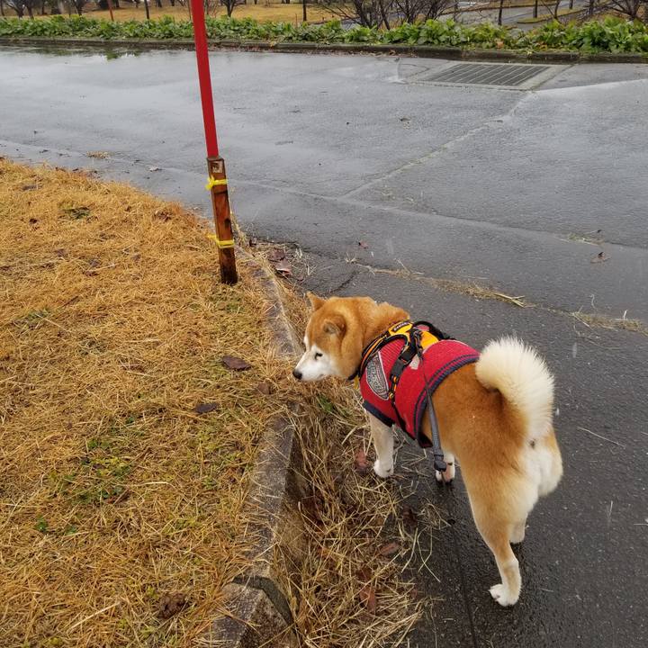 4402e6ed efcf 4af7 97e9 fd7284b06f99 1607834920039