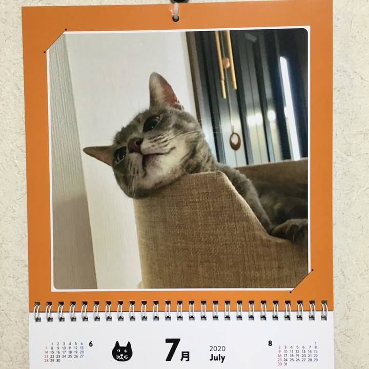 4402e7b8 0a8f 4c18 a812 8f639135f507 1593609642811