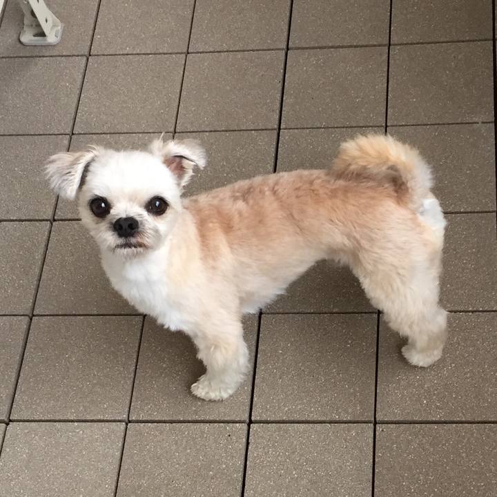 4402f251 f2fb 4d30 9afa f3b9dea3ff8f 1562323724612