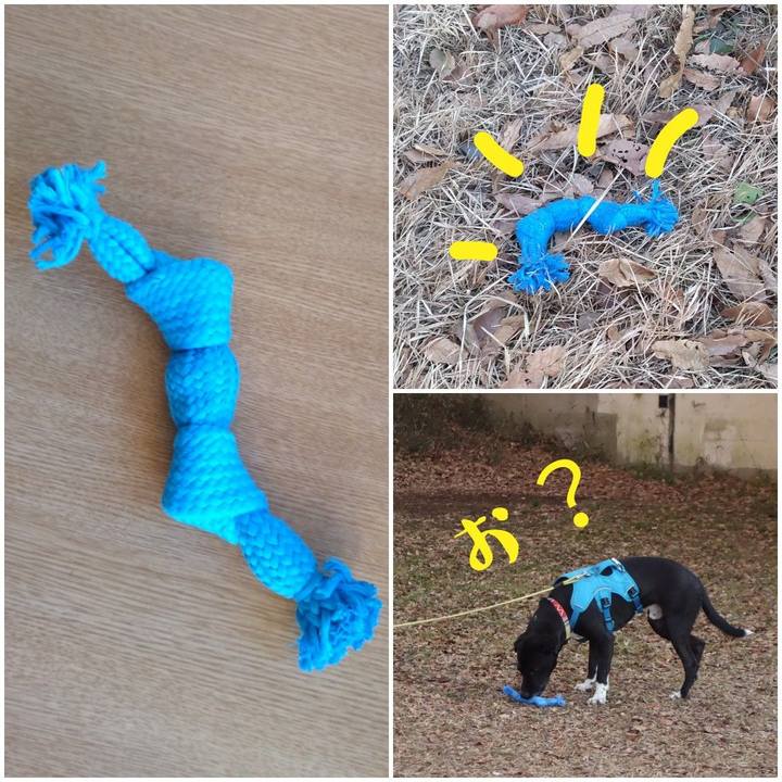 44030ee6 4563 412d ba56 64ce6fea5580 1612831493424