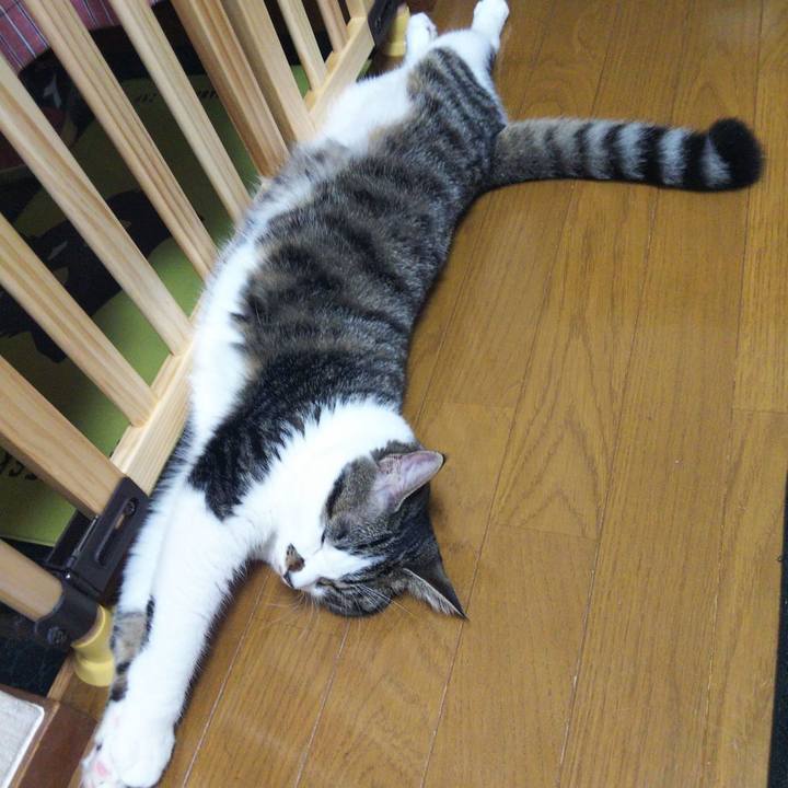 44031e25 7c3d 4490 812f a7e54a88e326 1624361445534